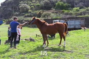 El Valle de los Nueve Alto celebra el día grande de sus fiestas patronales/Francisco Javier Santana.
